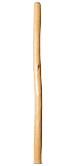 Earl Clements Didgeridoo (EC377)